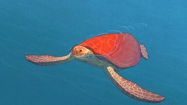 The Red Turtle 