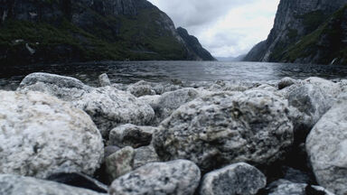 L'avis des mouches + Norway's Magical Fjords