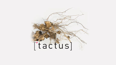 [‘tactus] Young Composers’ Forum + Brussels Philharmonic